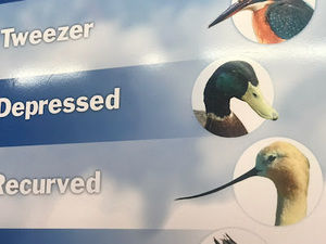 Meet your Posher, Mymy